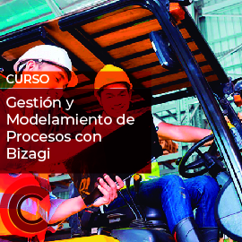 Gestión y Modelamiento de Procesos con Bizagi