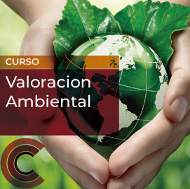 Valoracion Ambiental